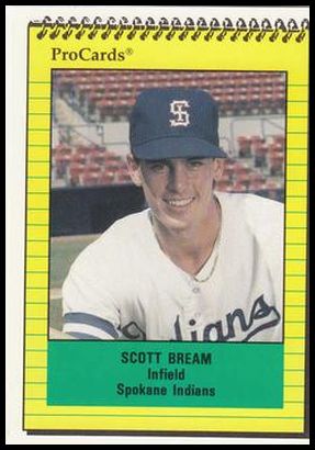 3954 Scott Bream